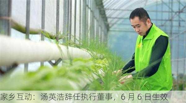 家乡互动：汤英浩辞任执行董事，6 月 6 日生效