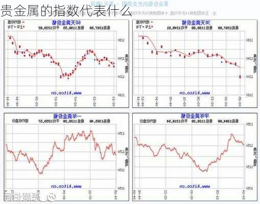 贵金属的指数代表什么