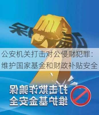 公安机关打击对公侵财犯罪：维护国家基金和财政补贴安全