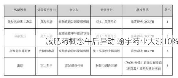 减肥药概念午后异动 翰宇药业大涨10%