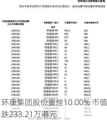 环康集团股价重挫10.00% 市值跌233.21万港元