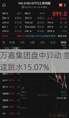 万嘉集团盘中异动 急速跳水15.07%