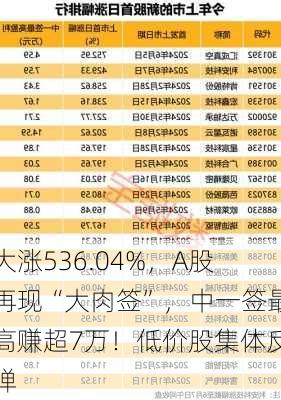 大涨536.04%，A股再现“大肉签”，中一签最高赚超7万！低价股集体反弹