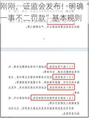 刚刚，证监会发布！明确“一事不二罚款”基本规则