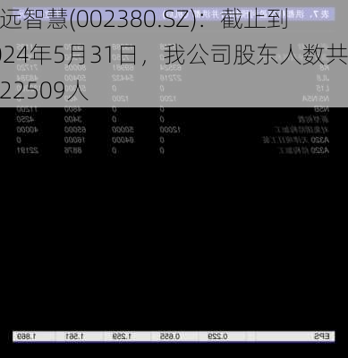 科远智慧(002380.SZ)：截止到2024年5月31日，我公司股东人数共计22509人