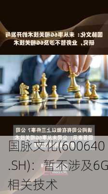 国脉文化(600640.SH)：暂不涉及6G相关技术