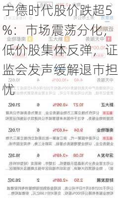 宁德时代股价跌超5%：市场震荡分化，低价股集体反弹，证监会发声缓解退市担忧