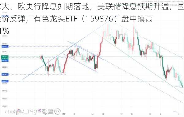 加拿大、欧央行降息如期落地，美联储降息预期升温，国际金价反弹，有色龙头ETF（159876）盘中摸高1．1%