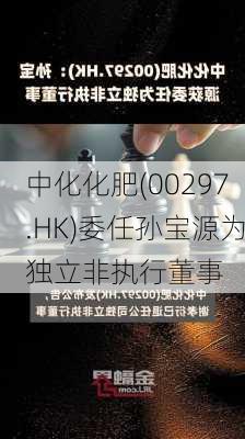 中化化肥(00297.HK)委任孙宝源为独立非执行董事