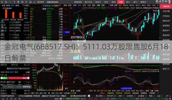 金冠电气(688517.SH)：5111.03万股限售股6月18日解禁