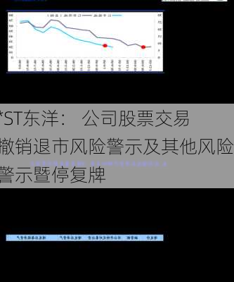 *ST东洋： 公司股票交易撤销退市风险警示及其他风险警示暨停复牌