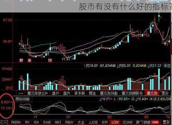 股市有没有什么好的指标？