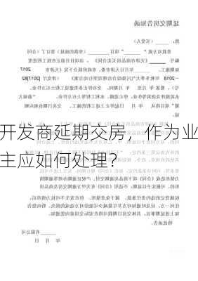 开发商延期交房，作为业主应如何处理？