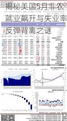 揭秘美国5月非农就业飙升与失业率反弹背离之谜