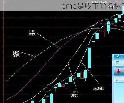 pmo是股市啥指标？