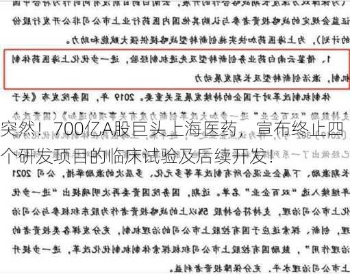 突然！700亿A股巨头上海医药，宣布终止四个研发项目的临床试验及后续开发！