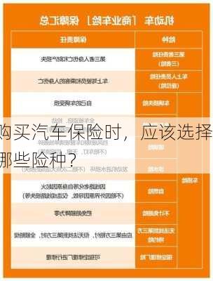 购买汽车保险时，应该选择哪些险种？