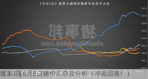 猪事邦|| 6月8日猪价汇总及分析（冲高回落！）