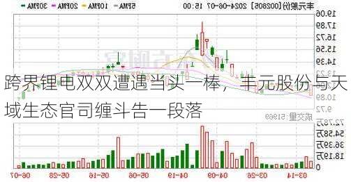 跨界锂电双双遭遇当头一棒，丰元股份与天域生态官司缠斗告一段落