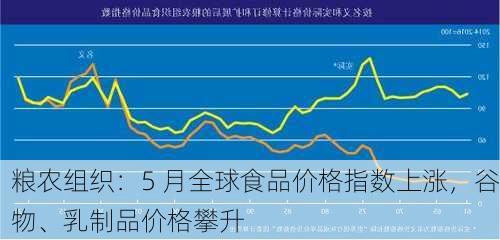 粮农组织：5 月全球食品价格指数上涨，谷物、乳制品价格攀升