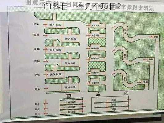 C1科目二有几个项目？