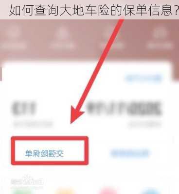 如何查询大地车险的保单信息？