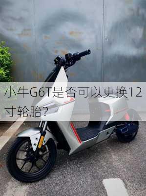 小牛G6T是否可以更换12寸轮胎？