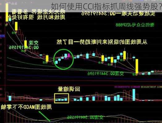 如何使用CCI指标抓周线强势股？