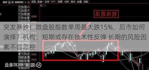 突发暴跌！微盘股指数单周最大跌15%，后市如何演绎？机构：短期或存在技术性反弹 长期的风险因素不容忽视