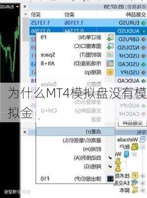 为什么MT4模拟盘没有模拟金