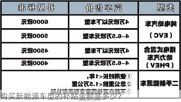 购买新能源车型的补贴金额是多少？