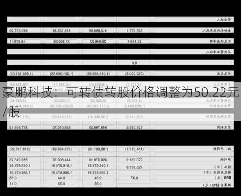 豪鹏科技：可转债转股价格调整为50.22元/股