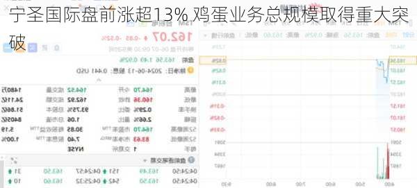 宁圣国际盘前涨超13% 鸡蛋业务总规模取得重大突破