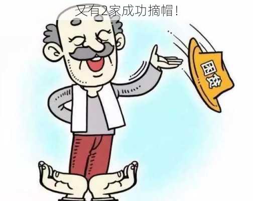 又有2家成功摘帽！