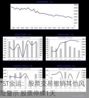 *ST金运：股票交易撤销其他风险警示 股票停牌1天