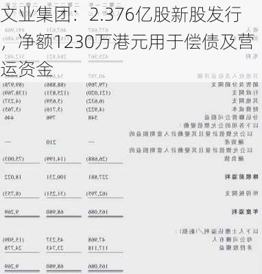 文业集团：2.376亿股新股发行，净额1230万港元用于偿债及营运资金