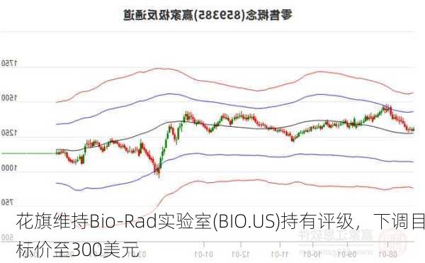 花旗维持Bio-Rad实验室(BIO.US)持有评级，下调目标价至300美元