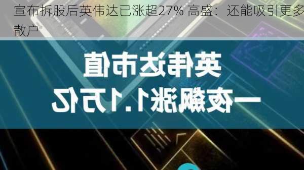 宣布拆股后英伟达已涨超27% 高盛：还能吸引更多散户