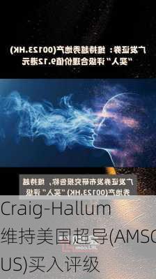 Craig-Hallum维持美国超导(AMSC.US)买入评级