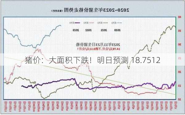 猪价：大面积下跌！明日预测 18.7512