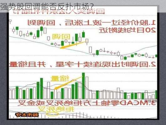 强势股回调能否反扑市场？