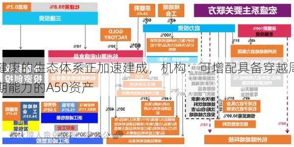 健康的生态体系正加速建成，机构：可增配具备穿越周期能力的A50资产