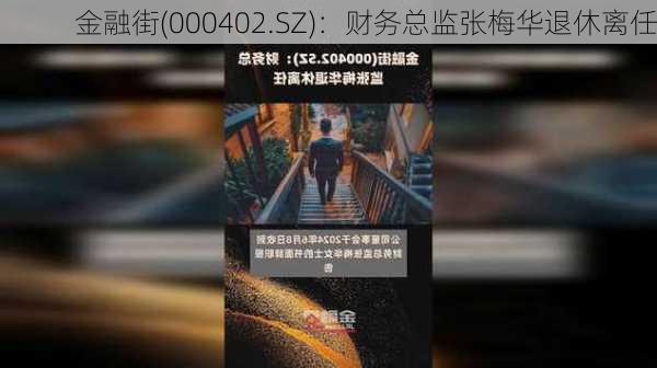 金融街(000402.SZ)：财务总监张梅华退休离任