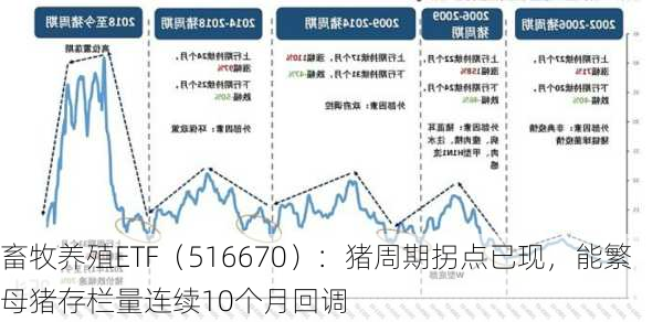 畜牧养殖ETF（516670）：猪周期拐点已现，能繁母猪存栏量连续10个月回调