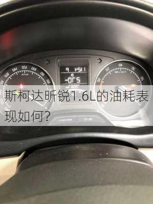 斯柯达昕锐1.6L的油耗表现如何？