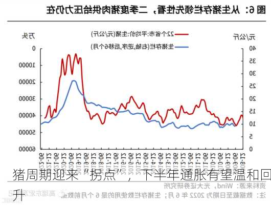 猪周期迎来“拐点”，下半年通胀有望温和回升