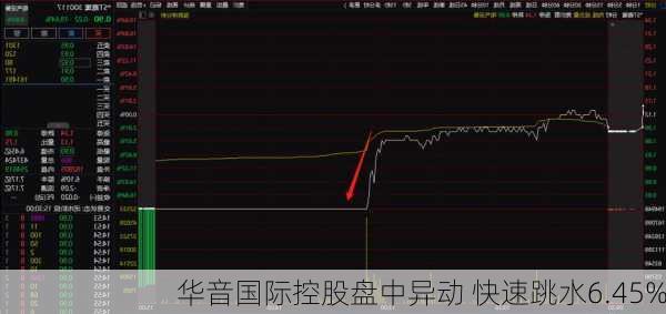 华音国际控股盘中异动 快速跳水6.45%