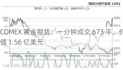 COMEX 黄金期货：一分钟成交 673 手，价值 1.56 亿美元