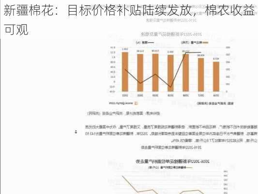 新疆棉花：目标价格补贴陆续发放，棉农收益可观