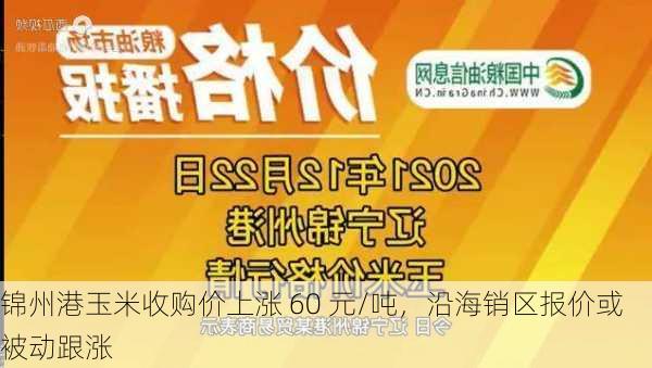 锦州港玉米收购价上涨 60 元/吨，沿海销区报价或被动跟涨